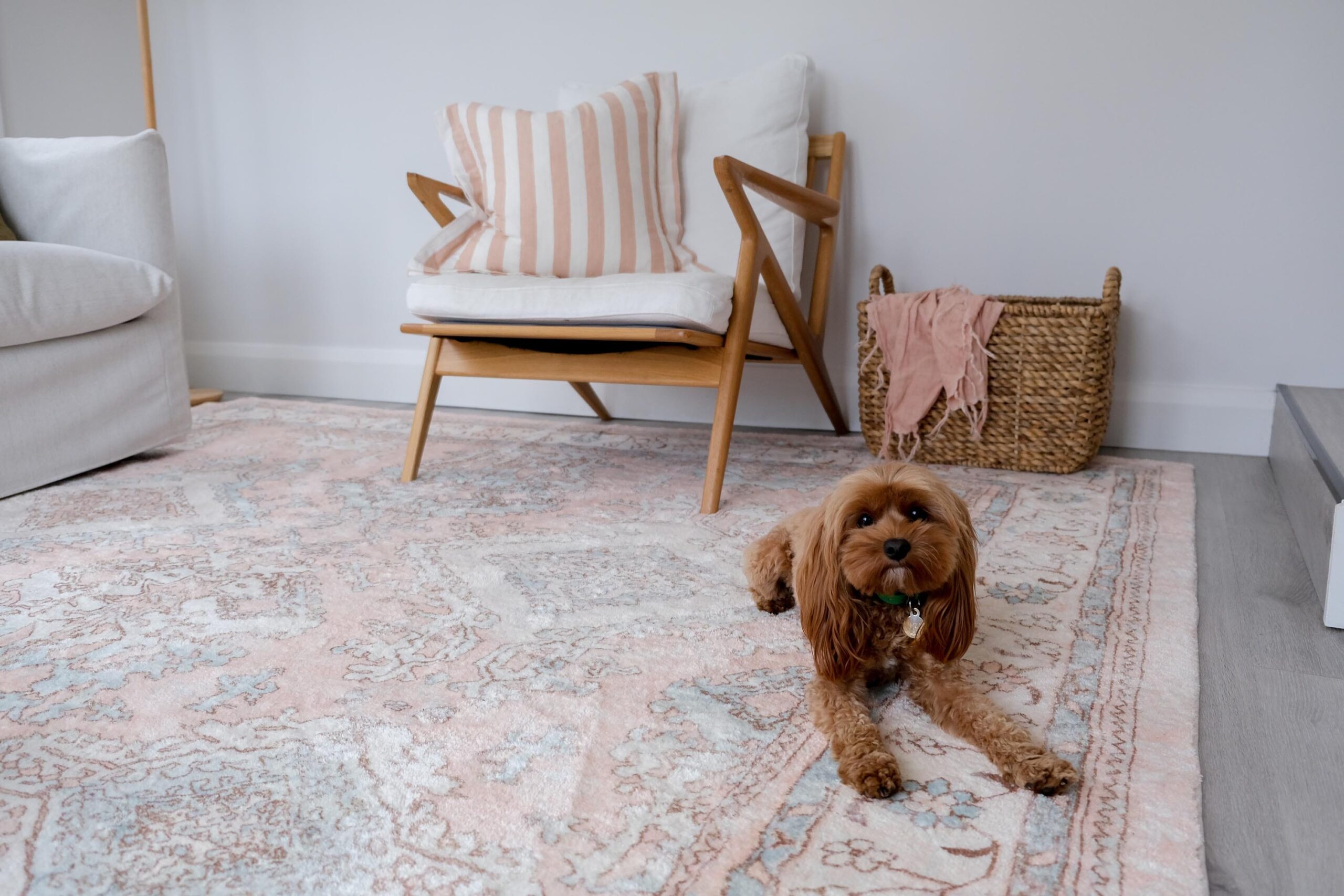 edwina peach and blue distressed washable rug edwina peach and blue distressed washable rug