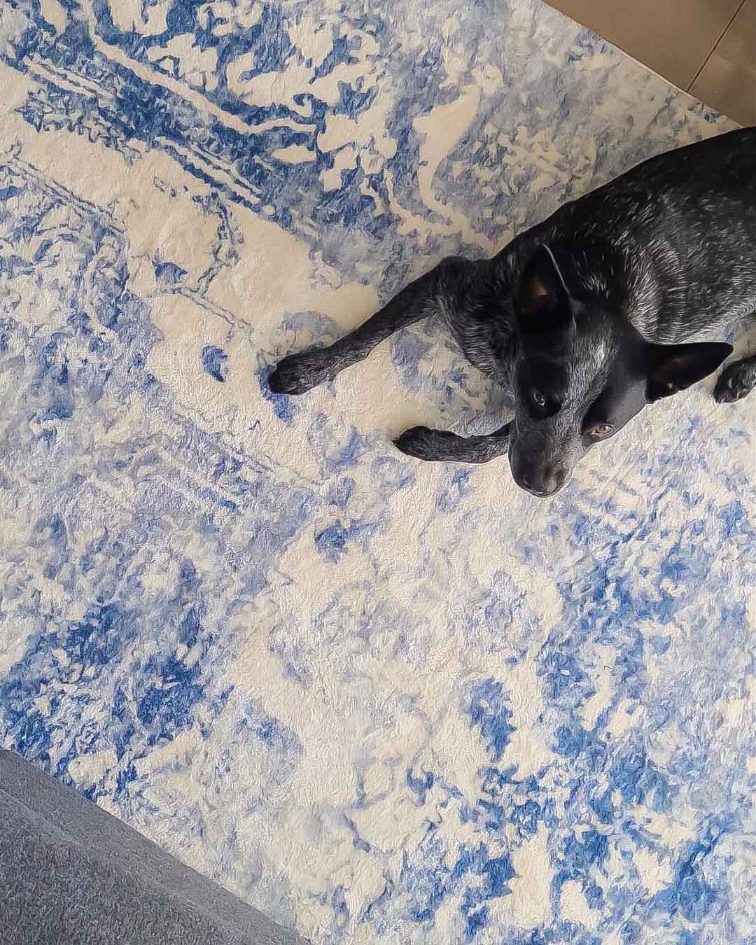 suri blue and grey distressed washable rug suri blue and grey distressed washable rug